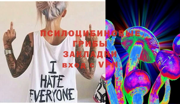 соль ск Балахна