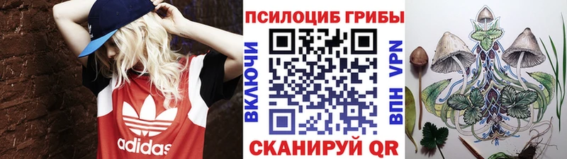как найти наркотики  Озёры  Псилоцибиновые грибы Magic Shrooms 